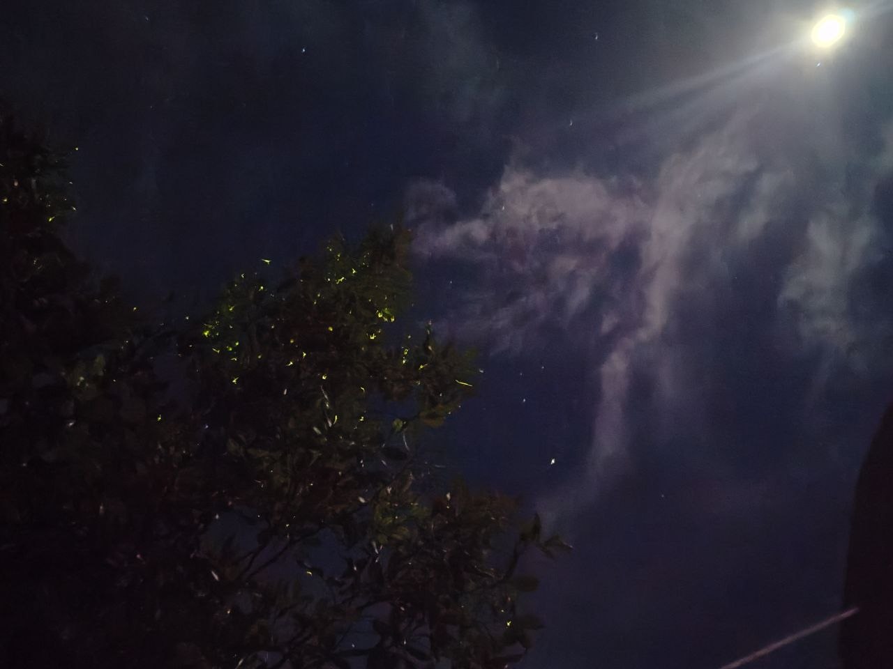 Светлячки, облака и ночное небо